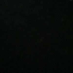 Meet your Posher, Dina